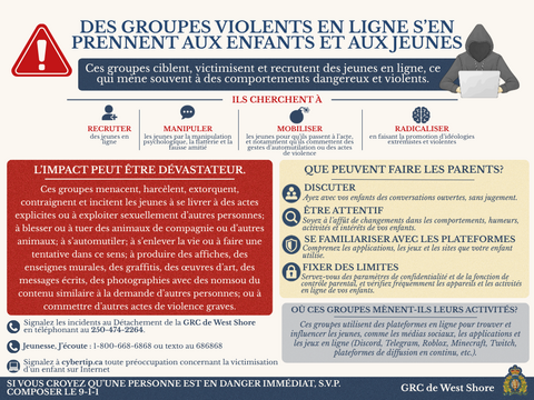 Fiche d’information sur les groupes violents en ligne.